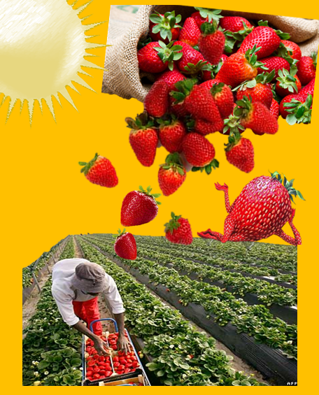 La Fraise Sur Le Gateau