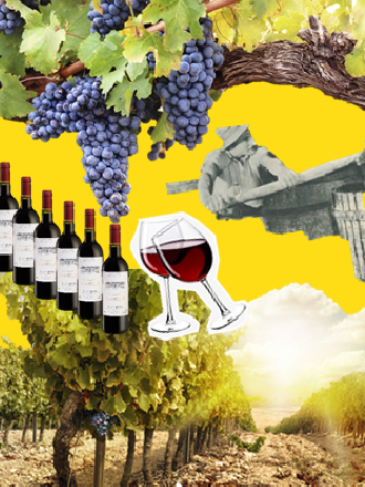 Vignette de l'article Du vin et du bon vin !